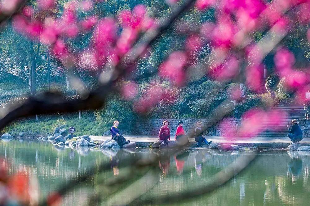 河北初中教师资格证报考需要学位吗-专业的问答类网站