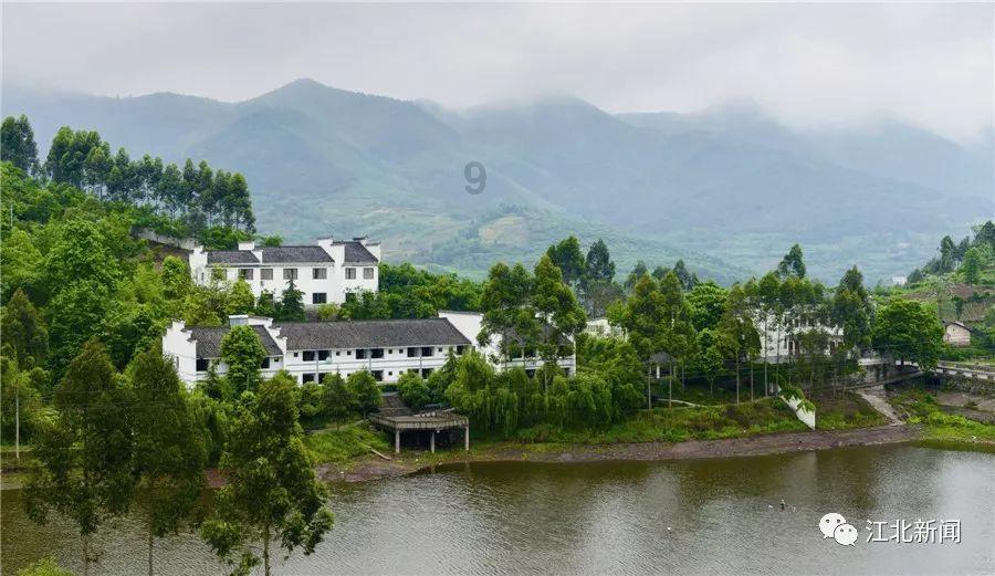 《潜水员戴夫》美食家的考验介绍
